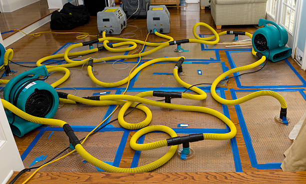 Professional Water Damage Repair technician working in Rossburg, OH