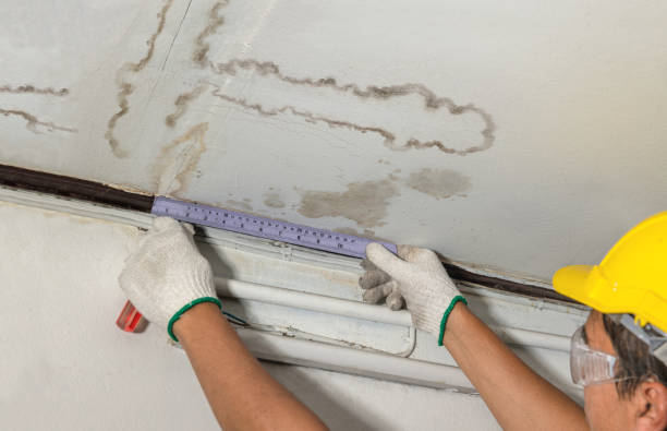 Affordable Water Damage Repair solutions in Rossburg, OH